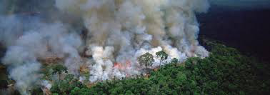 Incendio Amazonas: Más de 33.000 fuegos este año en la Amazonia brasileña