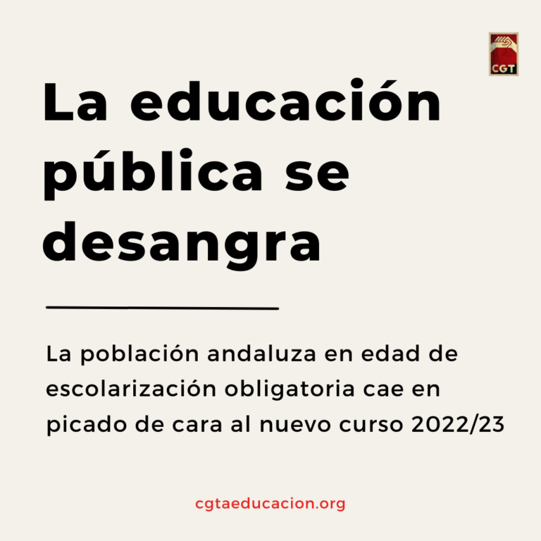 La educación pública se desangra