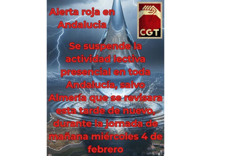 📢 COMUNICADO URGENTE: Suspensión de Actividad Lectiva en Andalucía