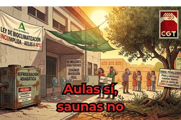Aulas o saunas Aulas sí, saunas no