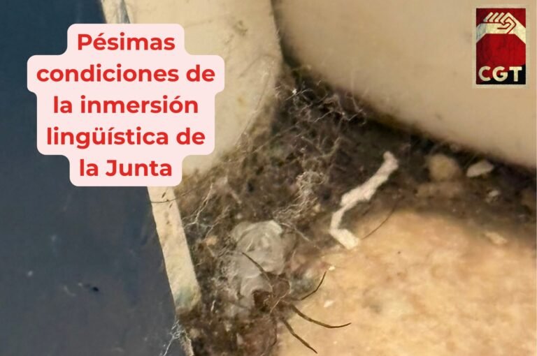 CGT ENSEÑANZA DENUNCIA LAS CONDICIONES «PÉSIMAS» EN LAS ESTANCIAS DE INMERSIÓN LINGÜÍSTICA DE LA JUNTA Y EXIGE RESPONSABILIDADES